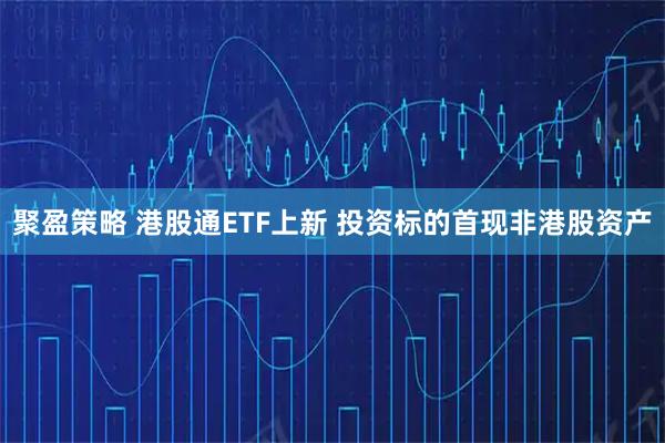 聚盈策略 港股通ETF上新 投资标的首现非港股资产