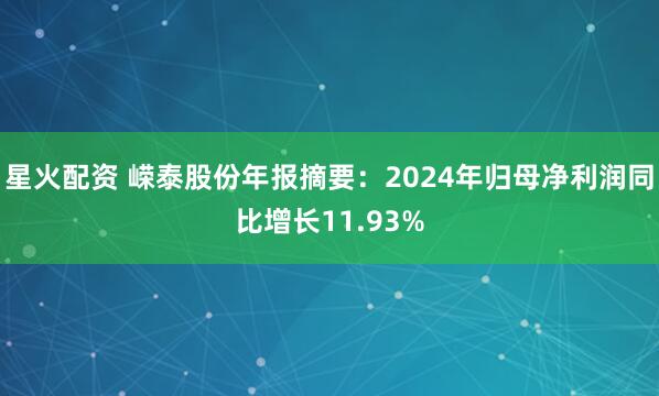 星火配资 嵘泰股份年报摘要：2024年归母净利润同比增长11.93%