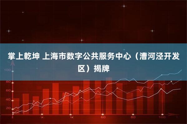 掌上乾坤 上海市数字公共服务中心（漕河泾开发区）揭牌